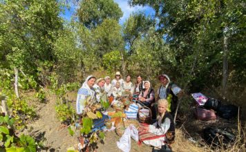 A început culesul viilor în satele Olteniei