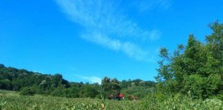 „Aronia este mai mult decât un fruct, este un medicament”, declară Marius Toporiște, proprietarul unei plantații de Aronia Bio din județul Gorj