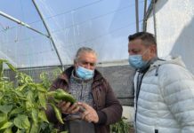 Deputatul Sorin-Daniel Gheba își dorește să-i ajute pe fermierii din Dolj