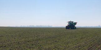 Temperaturile ridicate din această perioadă ar putea afecta grav culturile agricole, pomii şi viţa-de-vie