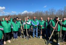 Astăzi au fost plantați 5000 de puieți de salcâm pe o suprafață de 1 ha în localitatea Mârșani! Acțiunea a fost organizată de PER