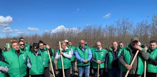Astăzi au fost plantați 5000 de puieți de salcâm pe o suprafață de 1 ha în localitatea Mârșani! Acțiunea a fost organizată de PER
