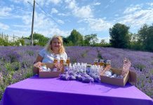 Cultura de „aur mov” din satul Câmpeni, Dolj, deținută de familia Virtineanu Luminița și Mihai, atrage zeci de vizitatori dornici de ședințe foto în lanul de lavandă