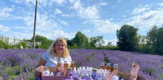 Cultura de „aur mov” din satul Câmpeni, Dolj, deținută de familia Virtineanu Luminița și Mihai, atrage zeci de vizitatori dornici de ședințe foto în lanul de lavandă