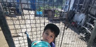 Povestea familiei Constantin din satul Răchita de Sus nu este doar despre nevoi, ci despre bunătate şi dragoste de viaţă