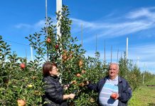 Livada de la Ghidici, una dintre cele mai moderne din județul Dolj