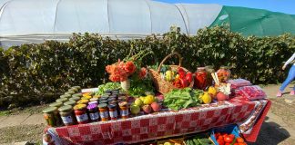 Ziua porților deschise în ferma familiei Baronescu din Perișor. Zeci de copii cu tulburare de spectru autist ai Asociației Visuri și Speranțe au vizitat ferma și s-au bucurat de roadele și mâncărurile proaspete din fermă