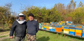 Inginerul Alexandru Ilinca – șeful Asociației Apis Oltenia deține una dintre cele mai performate stupine de multiplicare din Oltenia