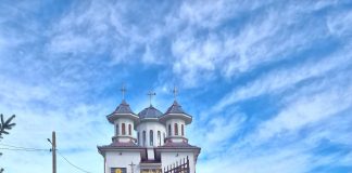 Legenda Salciei – „În fiecare an, de Florii, crenguțele de salcie nu lipsesc din biserici”