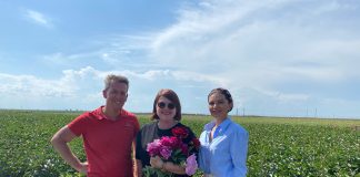 Plantație de 13 hectare de bujori în Dolj, la Moțăței. Aceștia merg la export și ajung în țări precum: Olanda, Franța și Austria