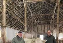 Afacere de succes cu vaci franţuzeşti în localitatea Tâmburești, județul Dolj! Inginerul agronom Octavian Dan crește un efectiv de 80 de vaci- mamă și 80 de viței din rasa Charolaise