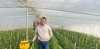 Famila Dragu din Albești – Dolj face agricultură la standarde europene