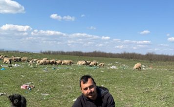 Crescătorii de oi spun că muncesc în pierdere în ultimii ani. Costurile pentru furaje, tratamente veterinare, forță de muncă au tot crescut, în timp ce prețul mieilor a rămas la fel