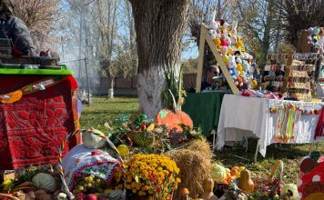 Târgul de Toamnă, ediția a doua- 𝐂𝐔𝐋𝐀 𝐈𝐙𝐕𝐎𝐑𝐀𝐍𝐔-𝐆𝐄𝐁𝐋𝐄𝐒𝐂𝐔, 𝐃𝐎𝐋𝐉