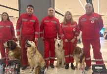 Federatia Chinologica Internațională a organizat la Craiova, competiția internațională OPEN SAR 2025