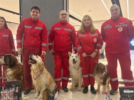 Federatia Chinologica Internațională a organizat la Craiova, competiția internațională OPEN SAR 2025