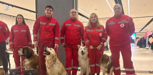 Federatia Chinologica Internațională a organizat la Craiova, competiția internațională OPEN SAR 2025