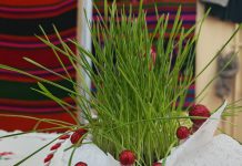 Anul Nou, Sânvăsâiu sau Crăciunul Mic- credințe și rânduieli străvechi în vatra satului oltenesc