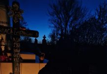 JOIA MARE sau JOIMĂRIȚA